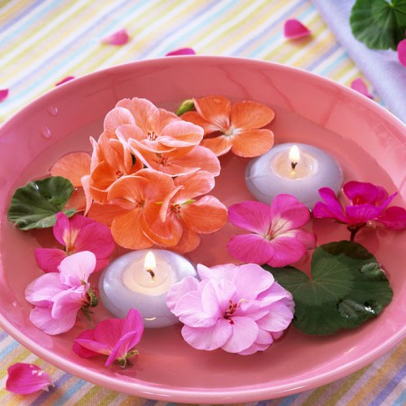 Velas